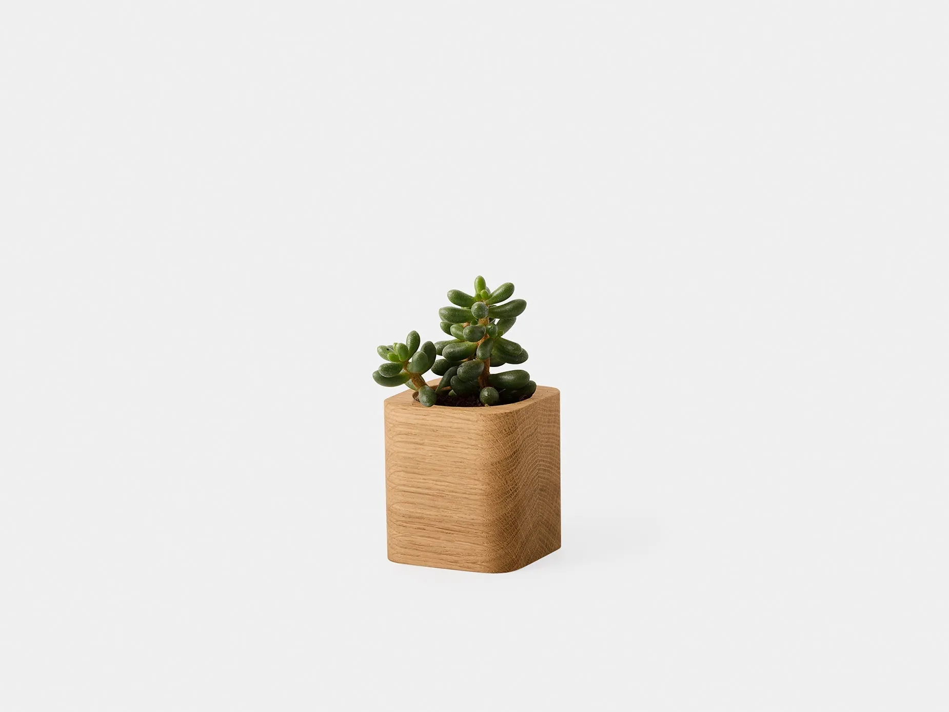 Cubic Pot