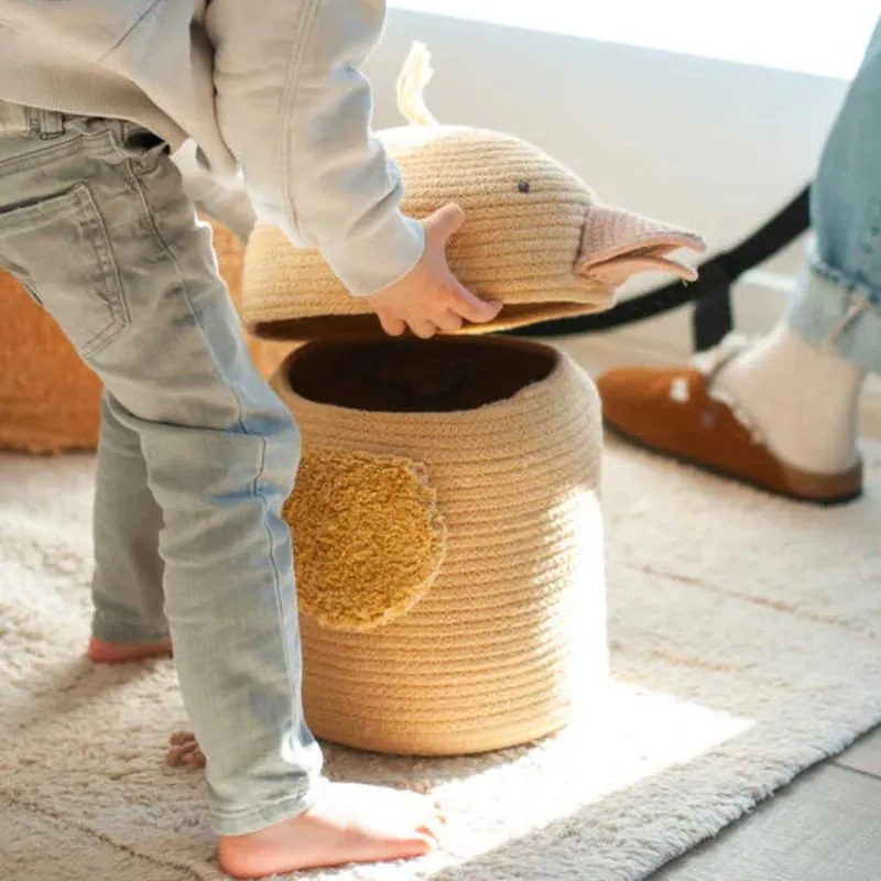 Decorative Animal Baskets