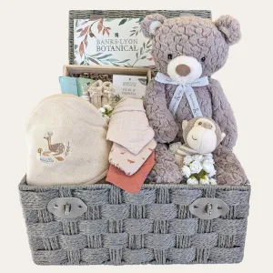 Large Baby Gifts Basket Hugs For Baby Treats For Mum