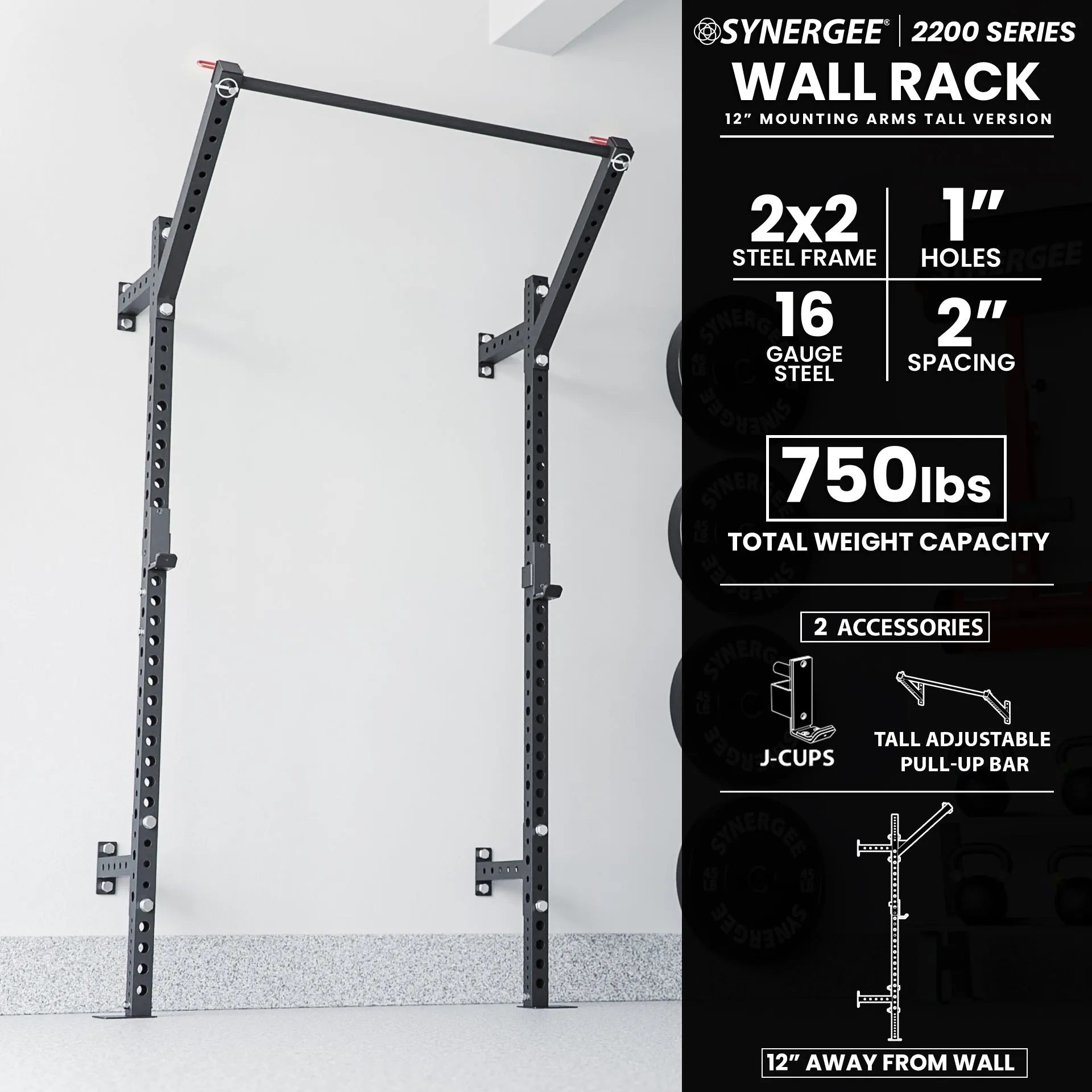 Synergee 2200 Series Wall Mounted Squat Rack