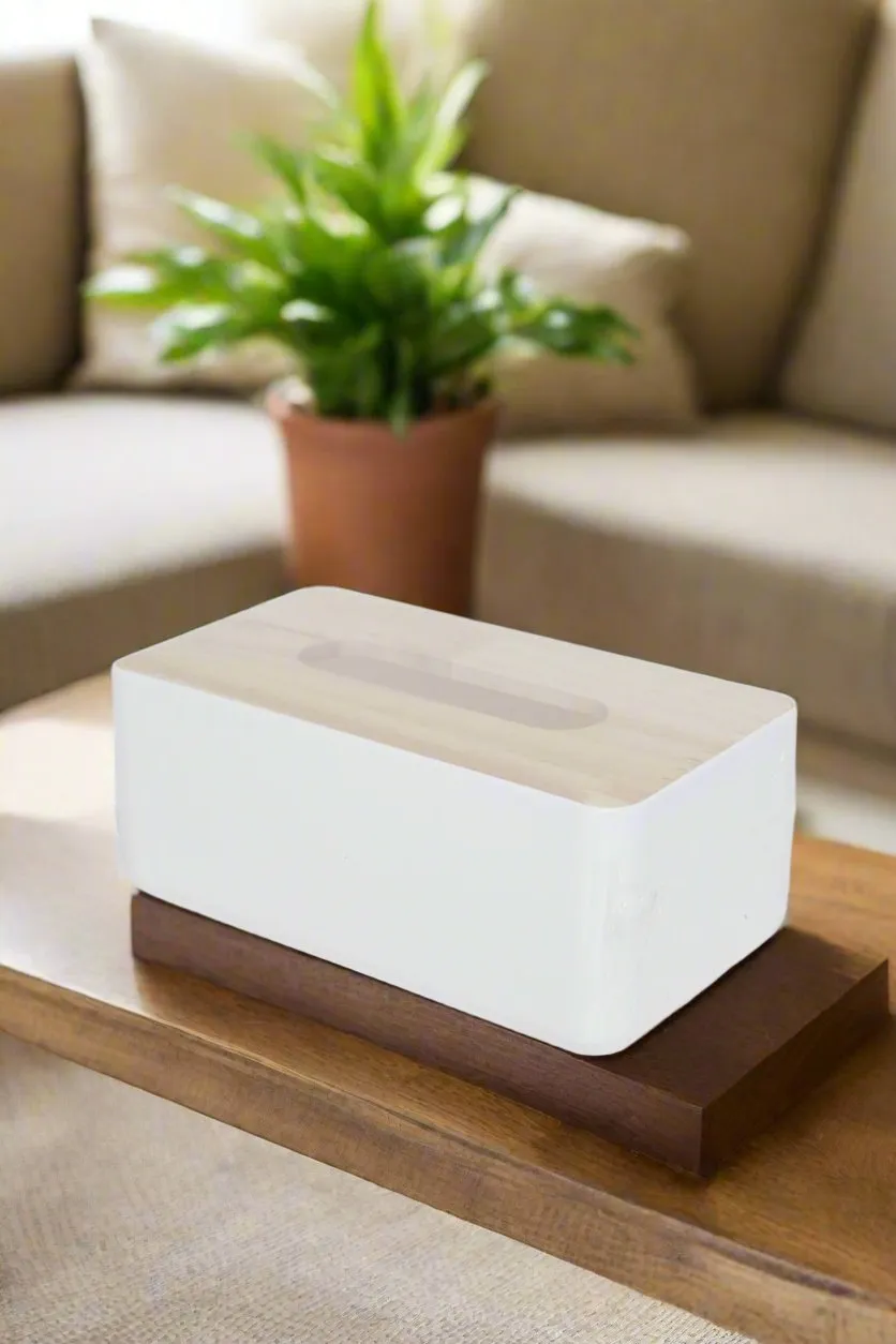 White And Brown Solid Tissue Box